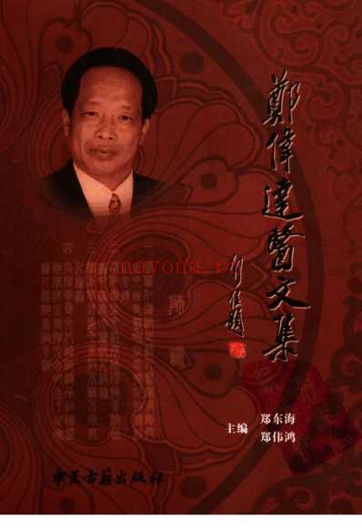 郑伟达医文集.pdf