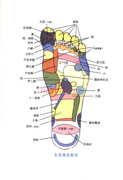 足部推拿按摩_宋一同.pdf