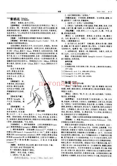 中华本草_九.pdf