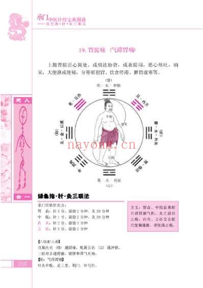 彩色中医针经宝典图谱_王占伟C-高清扫描-四海.pdf