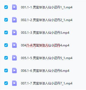 云松【灵宝毕法人仙小还丹】7讲视频