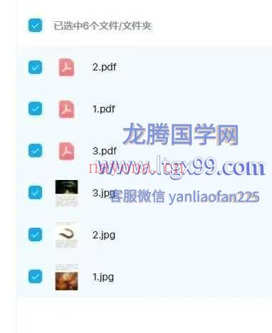 南派七叔 灵宠