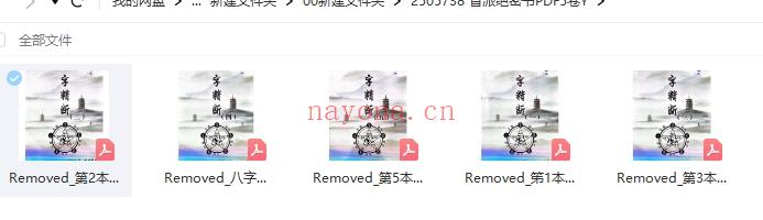 盲派绝密书PDF5卷Y插图