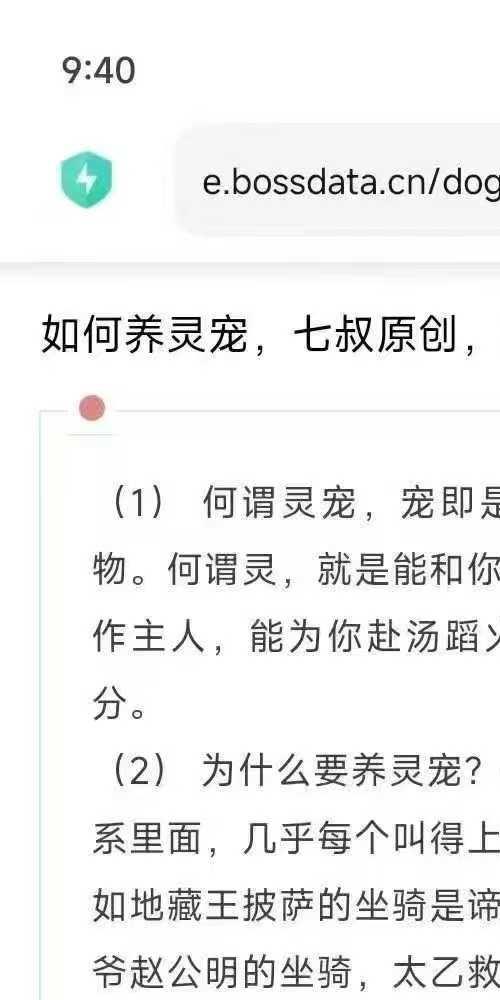 南派七叔 灵宠