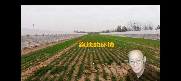 一圣老师【吕氏环境布局高级班】共30节课