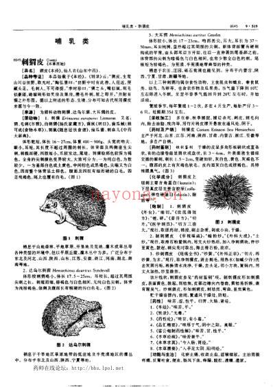 中华本草_第27卷.pdf