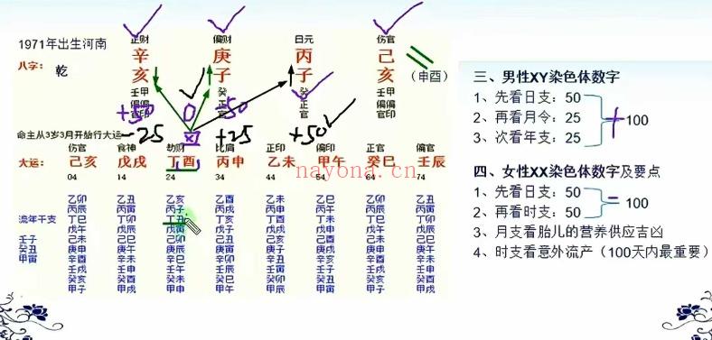 戴贵忱助教陈蓉老师体系《四柱八字》初中高3套视频课