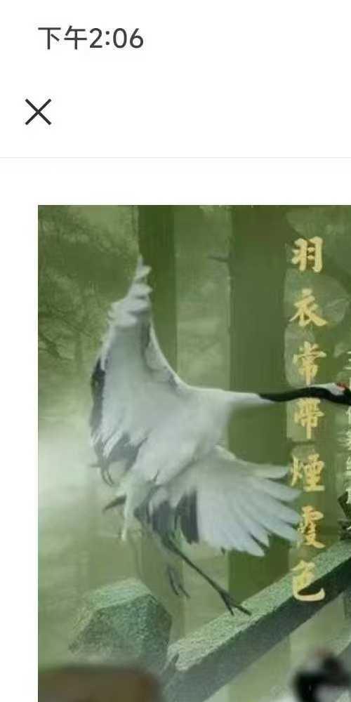 道家仙舞