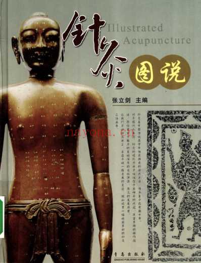 针灸图说.pdf