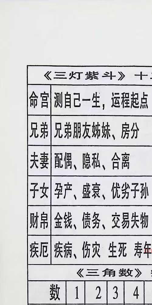 民间占卜秘招宝藏 玄真子