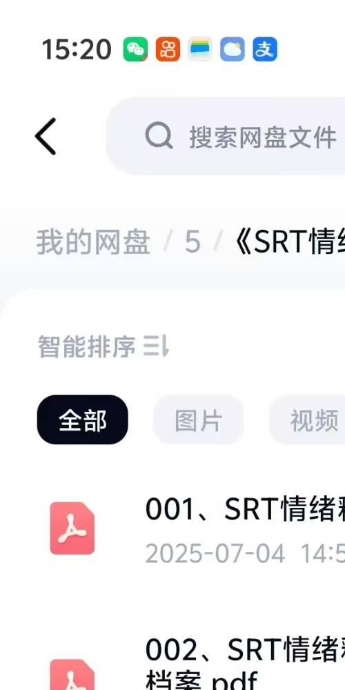 SRT情绪释放疗法 修行杨飞鸿