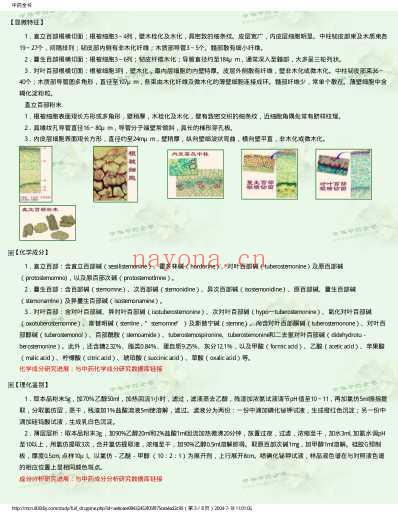 中药全书.pdf