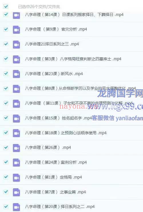 王镜贺八字命理线上班26集视频课