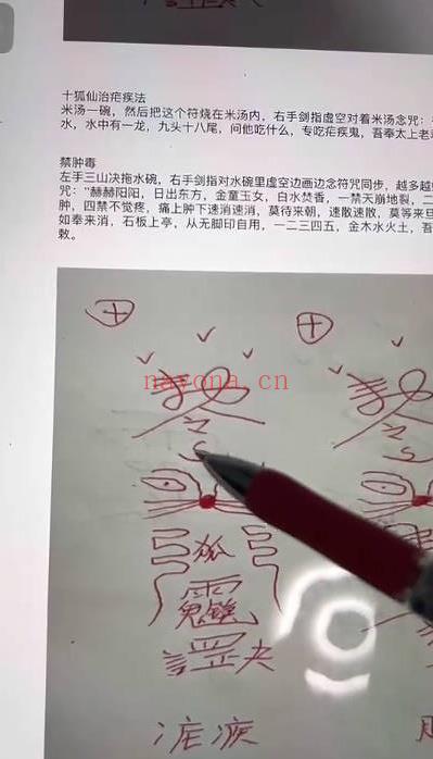 青月秘法【涂山狐仙法】5集视频+课件