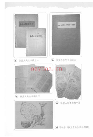 红蓼山馆医集.pdf