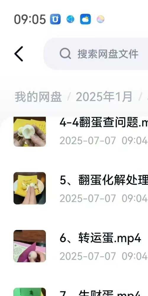 小凤仙翻蛋