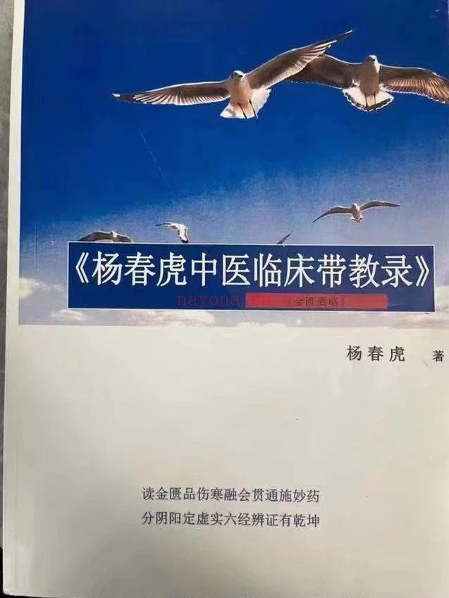 杨春虎中医临床带教录