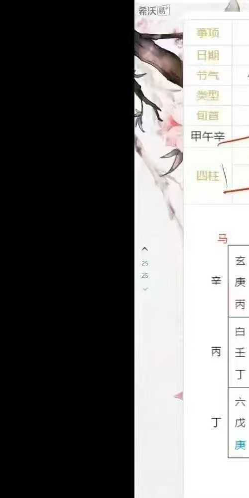 张聿扬奇门遁甲法术高阶课程10集视频