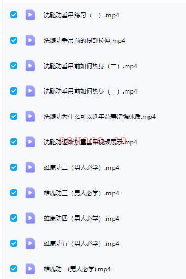 【达摩易筋洗髓帝王养生功法】教学视频23集