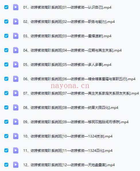 依婷【2025年紫微斗数系统班】视频教学12集