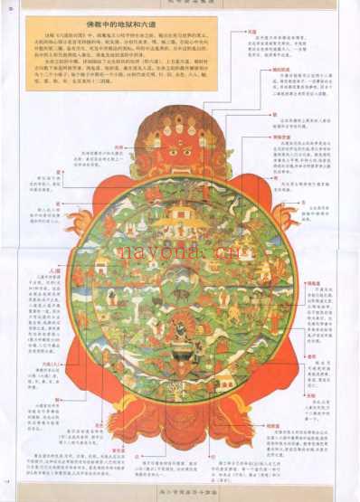 图解经典050-图解释迦牟尼-认识佛陀的大智慧.pdf