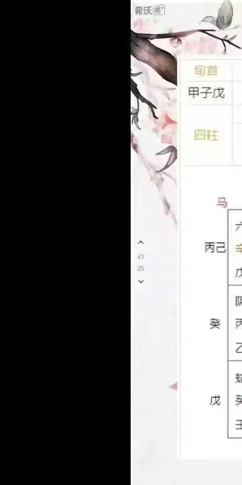 张聿扬奇门遁甲法术高阶课程10集视频
