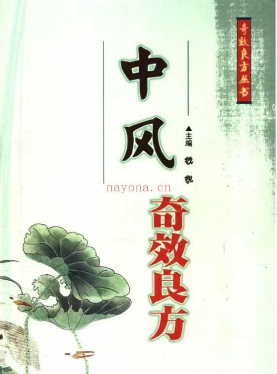 中风奇效良方  电子版