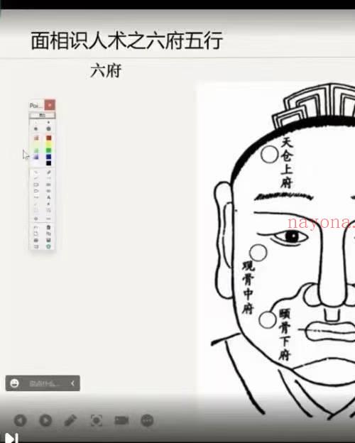 赵壹一 高级面相识人术课程