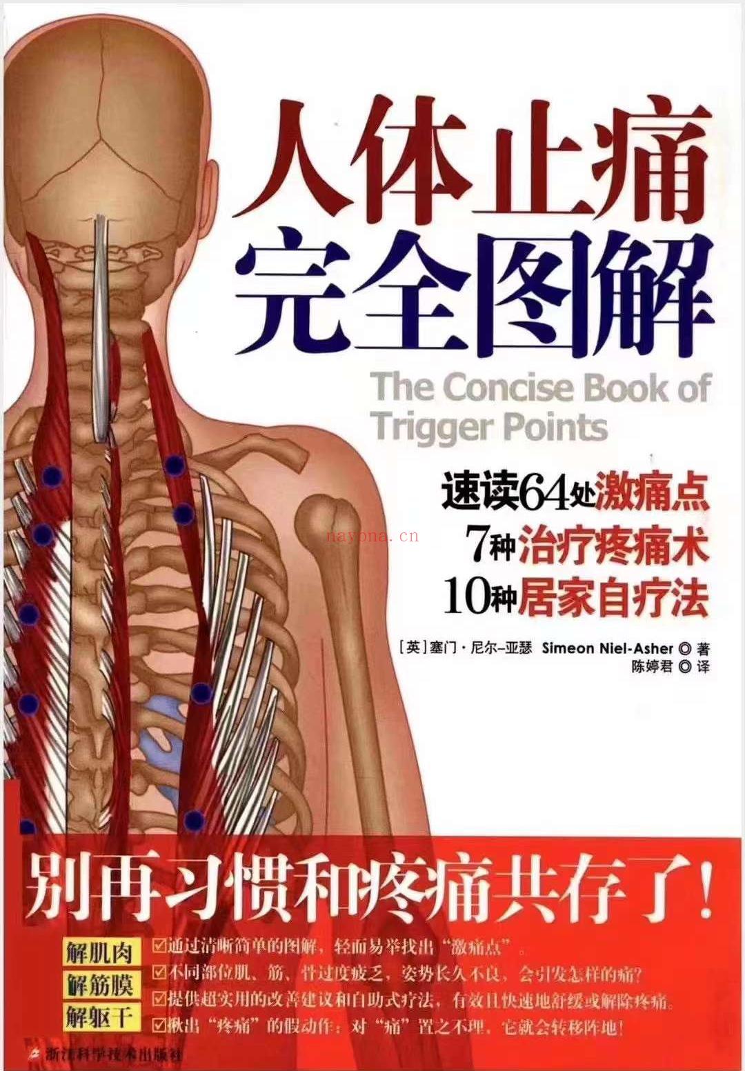 人体止痛完全图解
