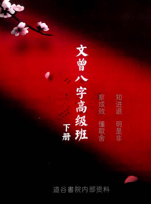 文曾《八字盲派高级班》上下2册.PDF电子版