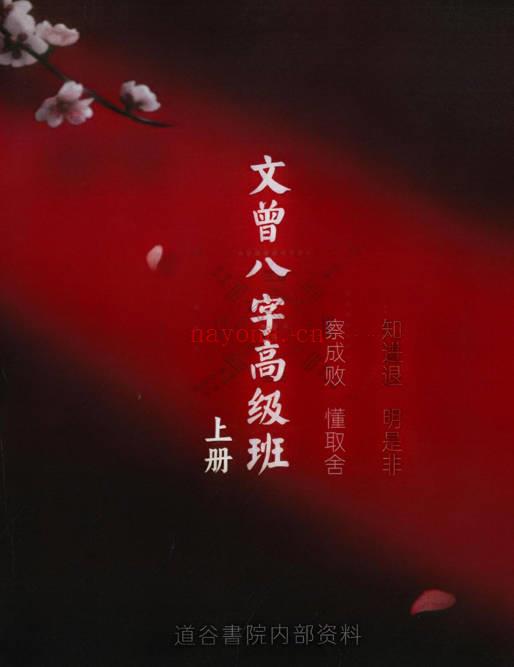 文曾《八字盲派高级班》上下2册.PDF电子版