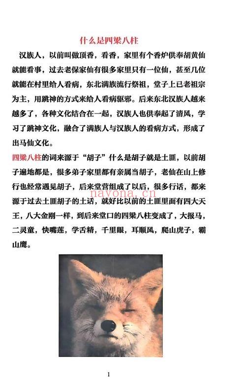 《出马仙萨满日记》彩色版  147页.PDF电子版