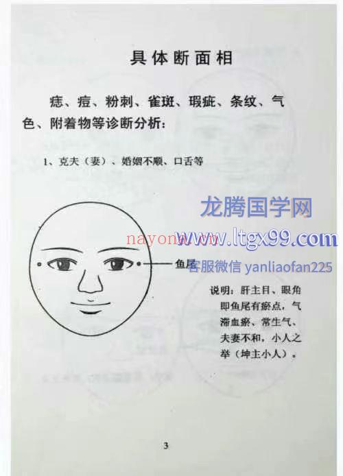 手面相诊病新突破187p.pdf