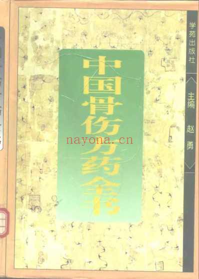 中国骨伤方药.pdf