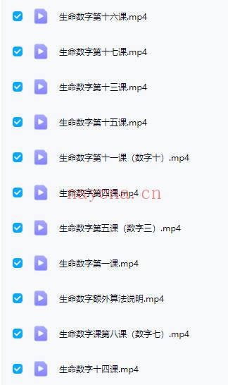 吴雨芯【生命数字全息命理师课】视频23集