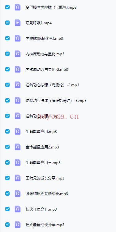 【拙火+松果体共修课程】 29集音频+1节视频