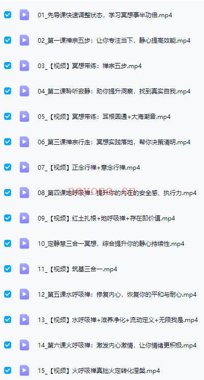 詹唐宁【21天呼吸觉禅冥想系统班】视频30集
