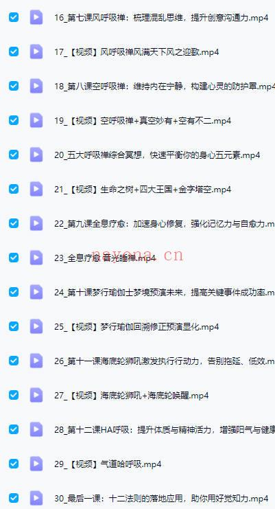 詹唐宁【21天呼吸觉禅冥想系统班】视频30集