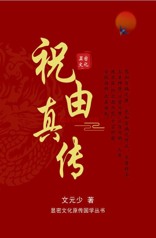 文元少 祝由真传电子版