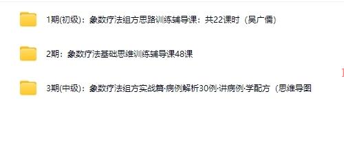 吴广儒象术疗法