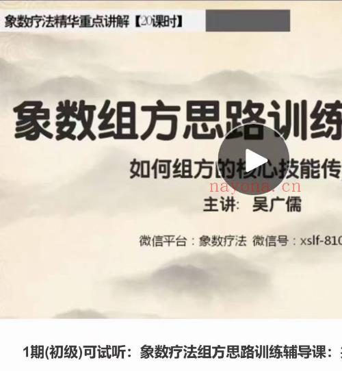 吴广儒象术疗法