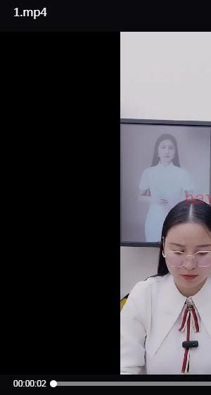 夏光明弟子 高雅兰《地支相穿详解及化解秘法》3集视频+课件