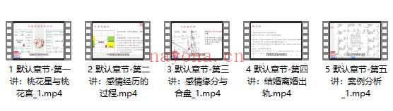 洛元老师依婷体系紫微斗数感‬情专题课 5节视频‬Y插图