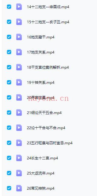 栏江易理 山泽老师【八字命理进阶课程】视频 52集