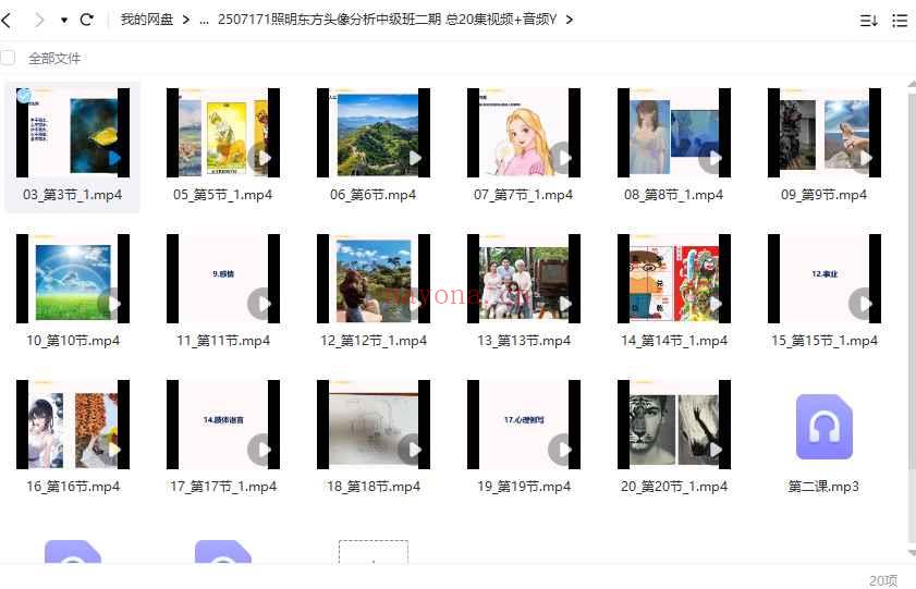 照明东方头像分析中级班二期 总20集视频+音频Y插图