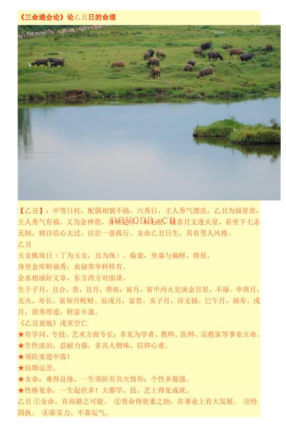 《一柱论命》双飞排盘 194页.PDF电子版