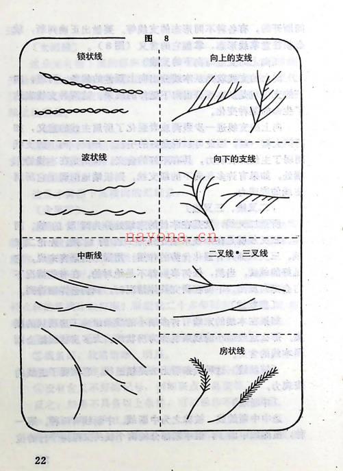 邵氏家藏绝技《秘传手相谱》193页.PDF电子版