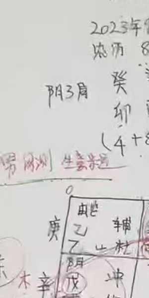 三生《道家阴盘奇门实战案例分析视频》23集