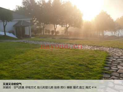 看图说医_中医的图景.pdf