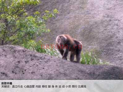 看图说医_中医的图景.pdf